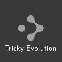 Tricky Evolution Ltd